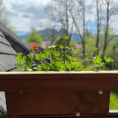 U Giewonta Apartmán