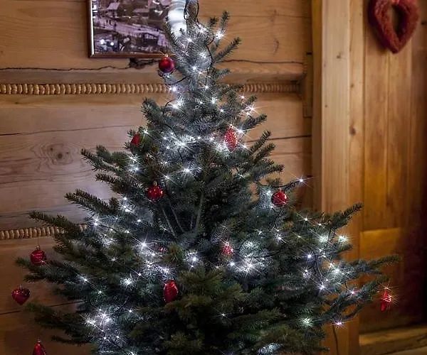 U Giewonta * زاكوباني